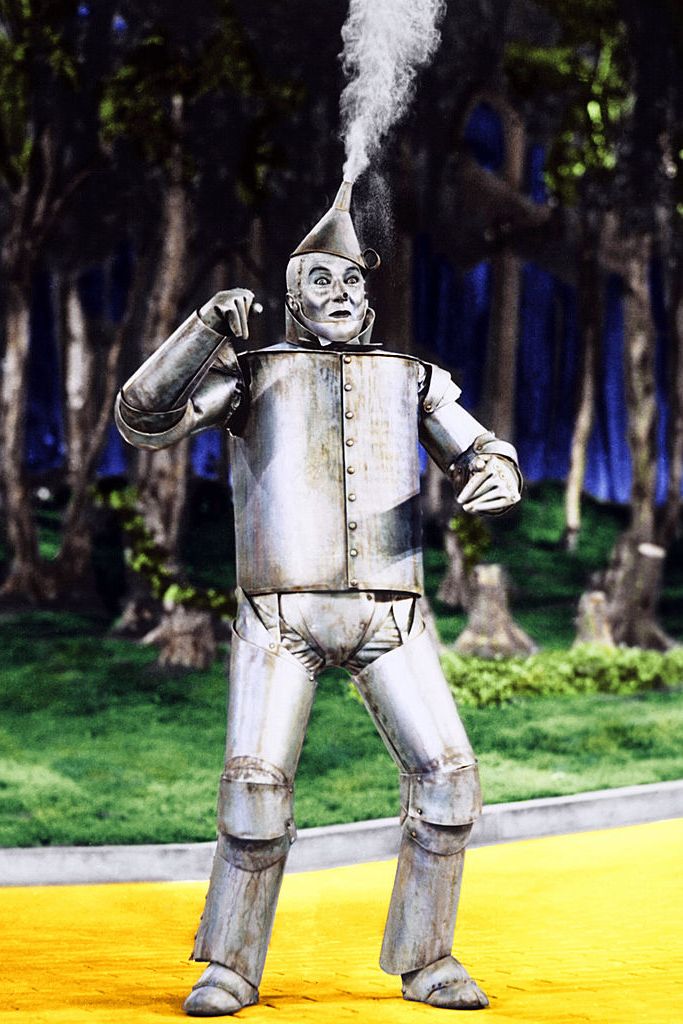 wizard of oz costumes   the tin man