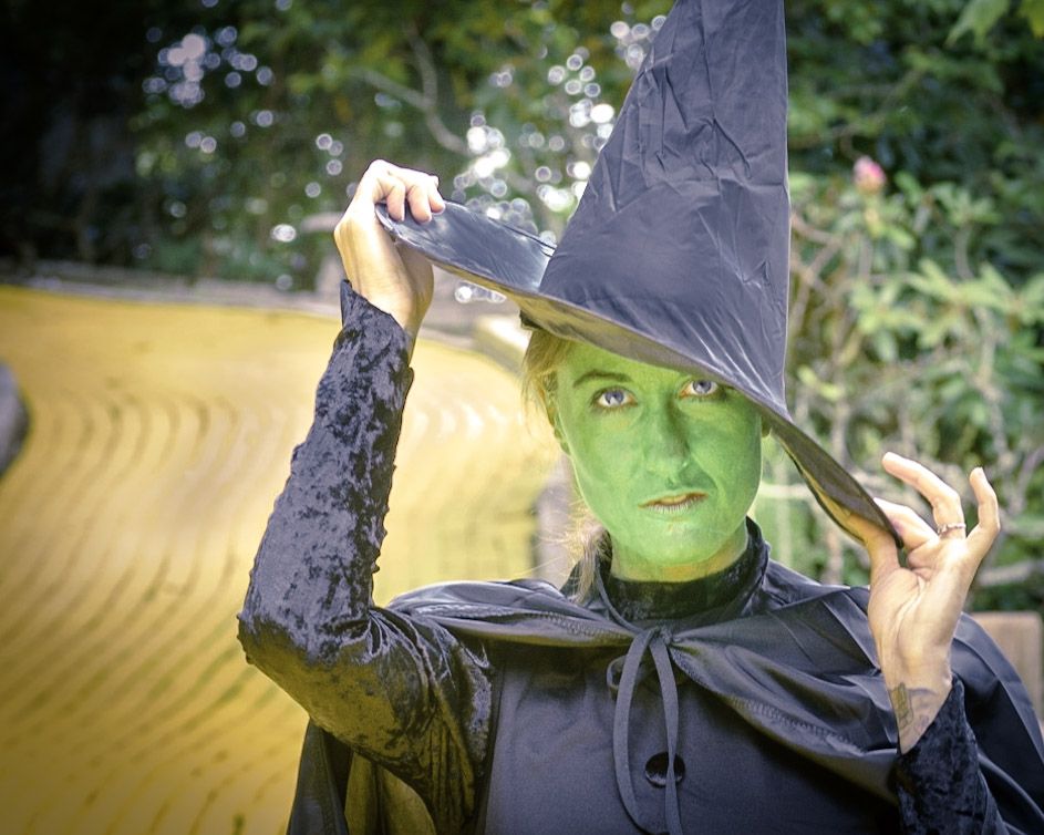 wicked witch of the west wizard of oz costume