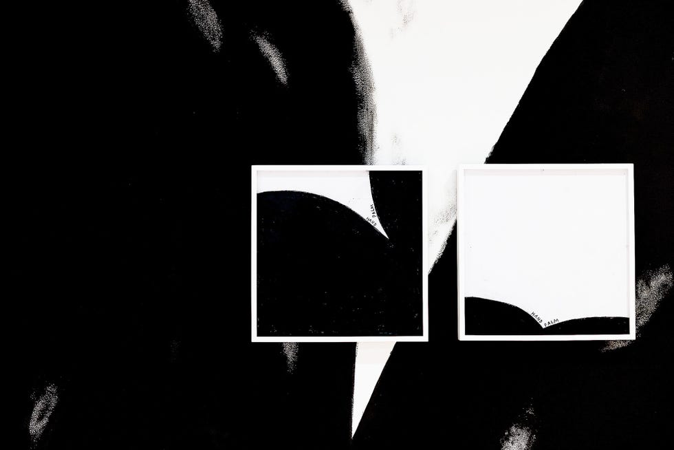 artwork featuring two framed black and white abstract shapes on a contrasting background