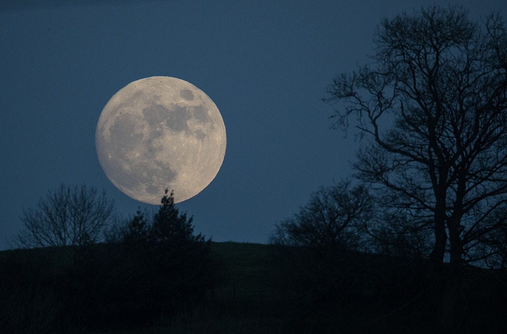 January’s Full 'Wolf Moon' Eclipses Mars In 2025 What It Means