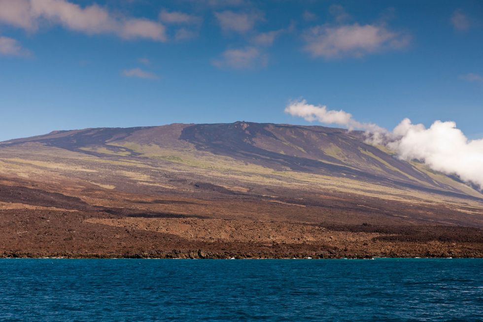 a view of wolf volcano on isla isabela, in the galapagos islands, 2016