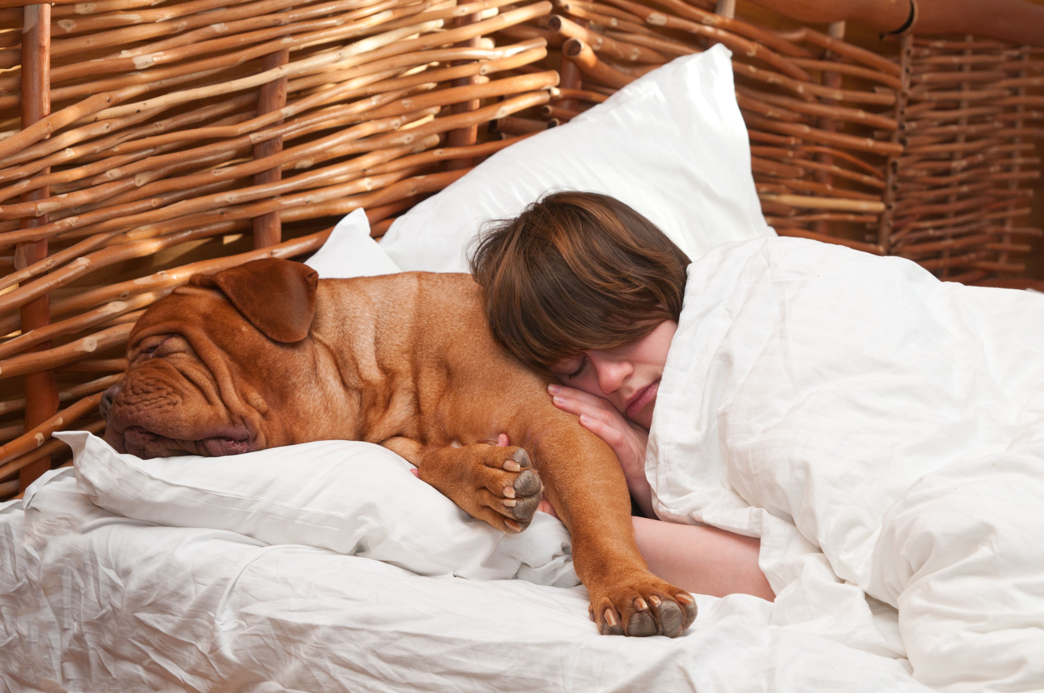 Drie redenen om je huisdier niet bij je in bed te laten slapen