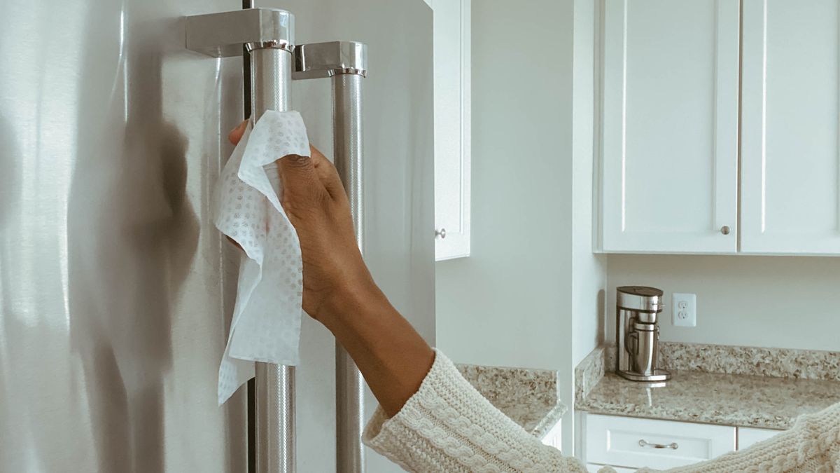 https://hips.hearstapps.com/hmg-prod/images/woman-cleans-refrigerator-handle-using-disinfectant-royalty-free-image-1683140182.jpg?crop=1xw:0.75xh;center,top&resize=1200:*