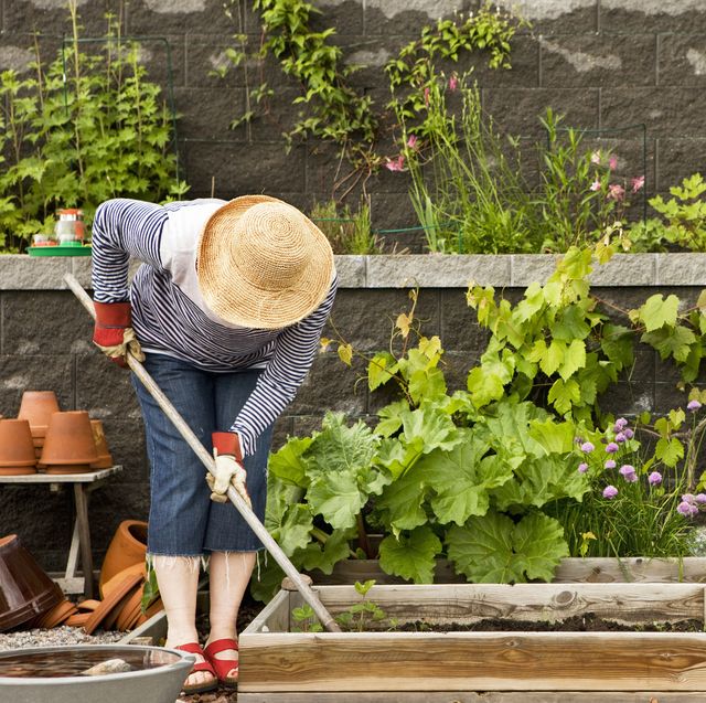 woman gardening wearing hat