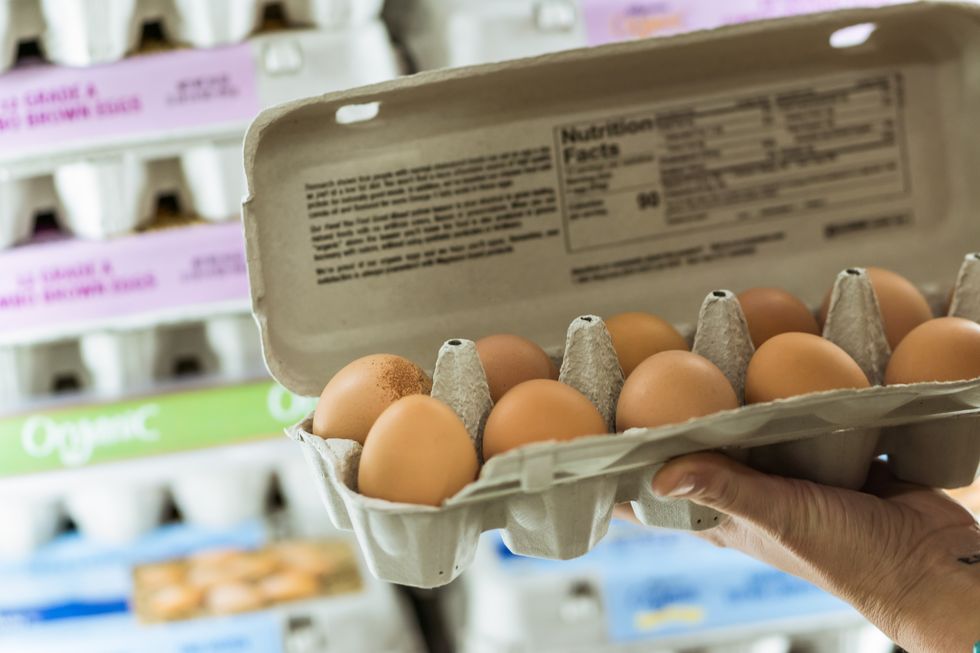 egg carton
