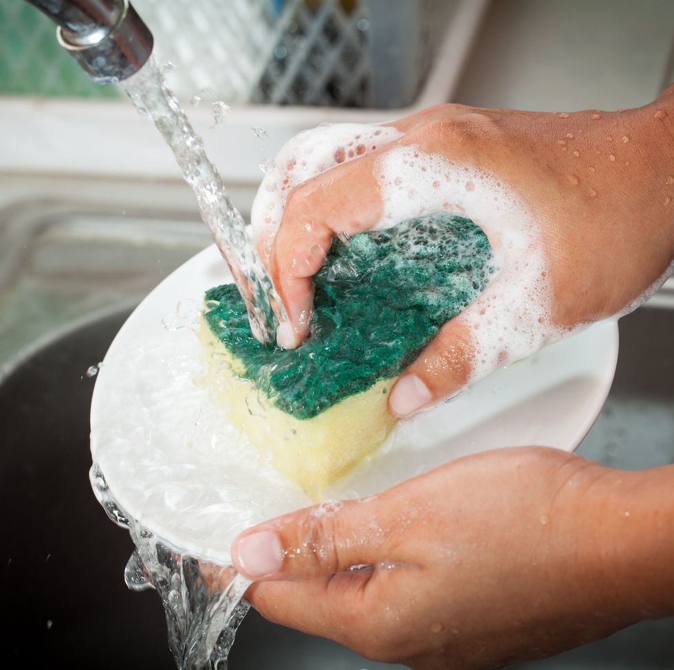 How Often You Should Replace a Natural Sponge
