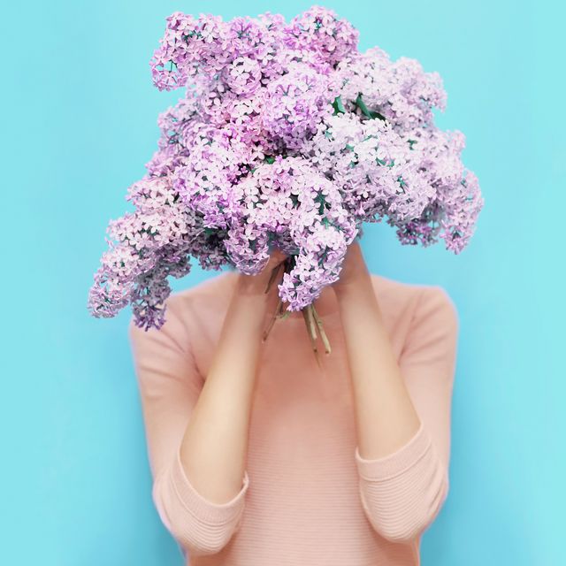 woman hiding head bouquet lilac flowers over colorful blue background
