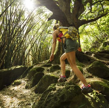 a woman hiking amongst bamboo