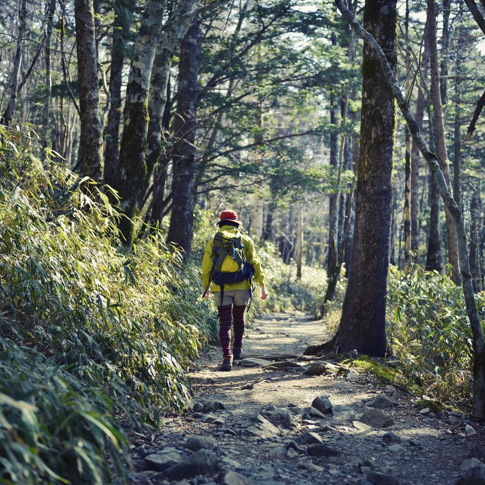 Woman hiking in Mt. Odaigahara