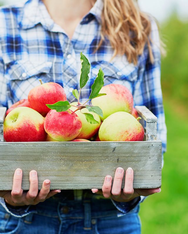 Organic Cripps Pink Apples - Farm-to-Door Delivery