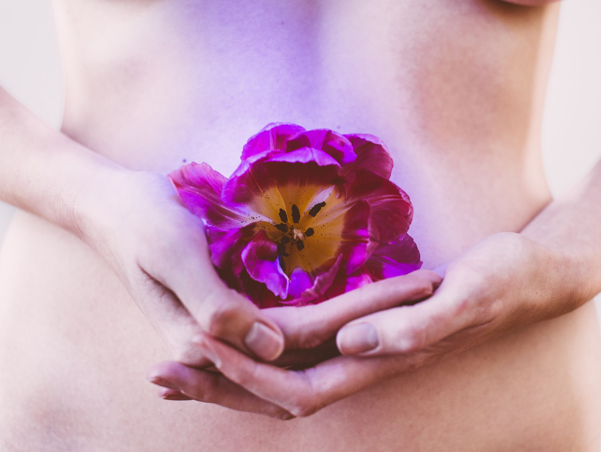 woman holding pink flower in front of belly