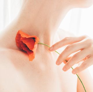 Like a fresh bouquet all year long.