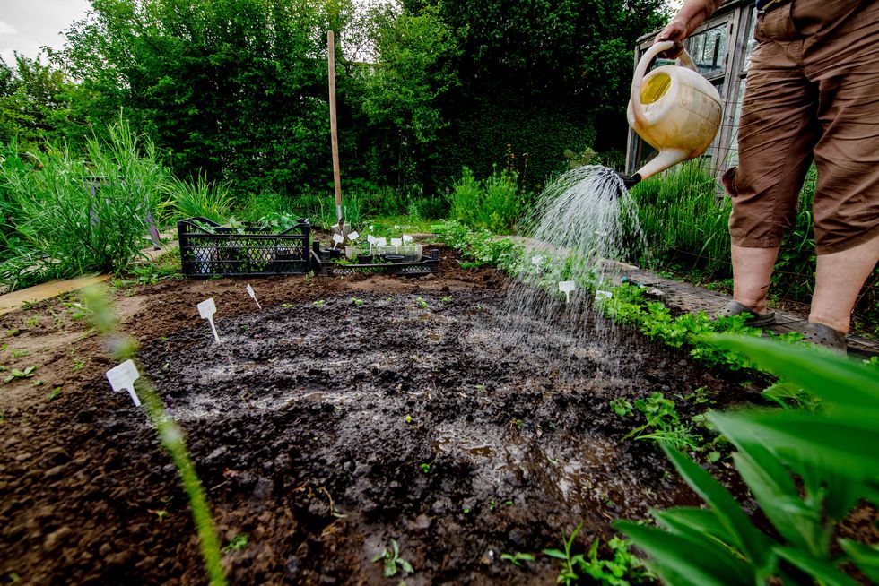 woman is engaged in a garden bed and digs the ground