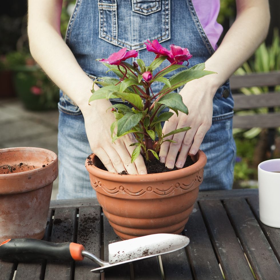 old fashioned hobbies gardening