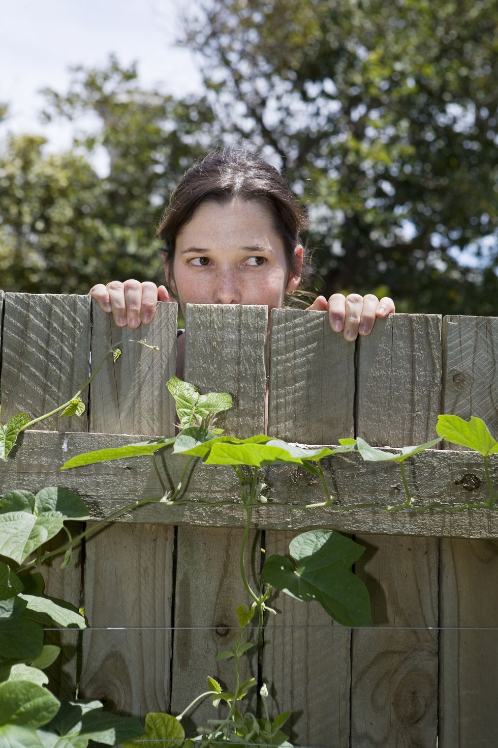 Woman looking over wooden fence