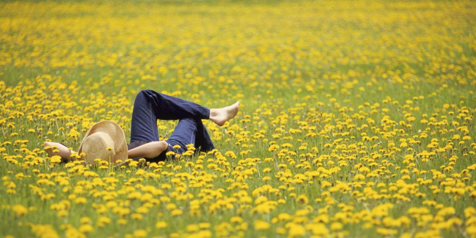 woman lying in field of flowers