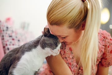 woman pet owner cuddling with cat in cats rub against your body