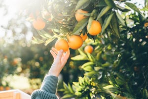 fruta con colágeno