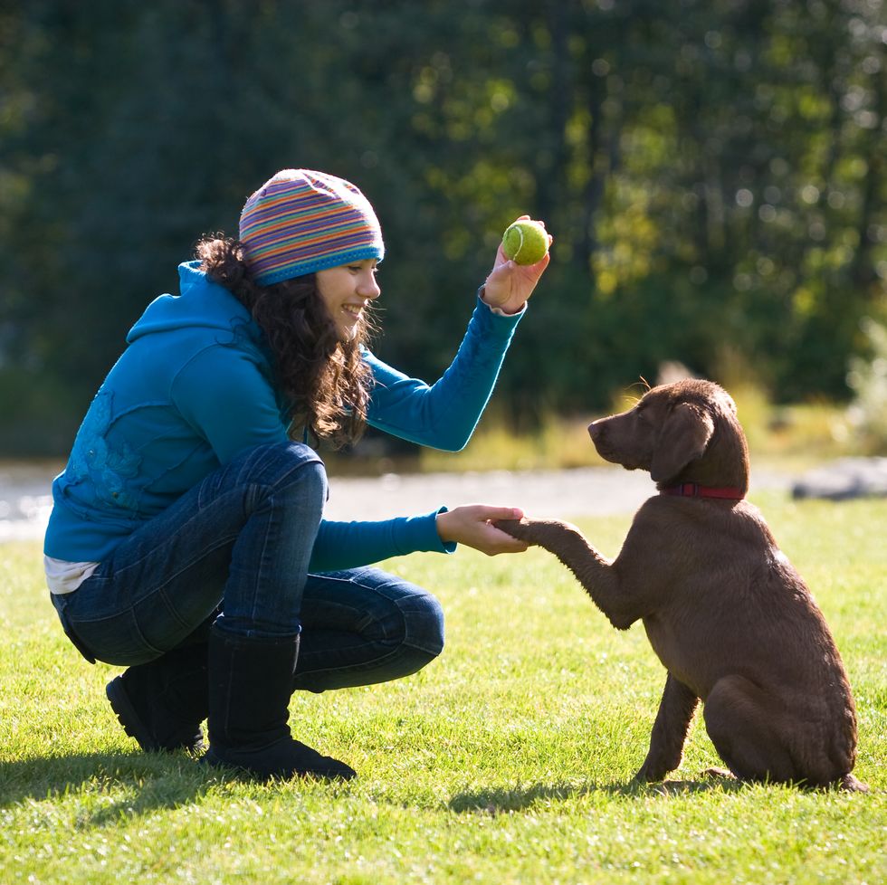woman playing with and training puppy to shake hands