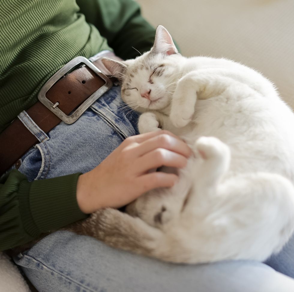woman playing with her cat on her lap
