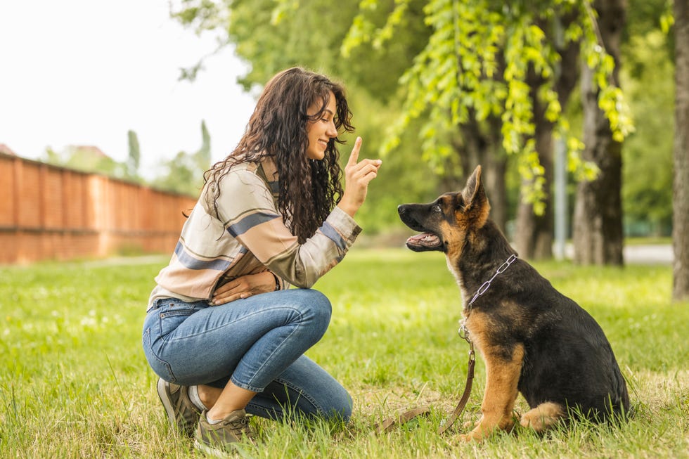 woman playing with her dog at the park
