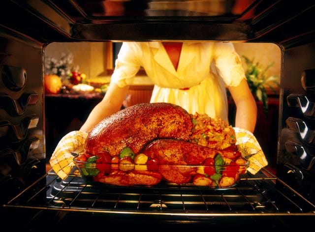 woman preparing roasted turkey in oven