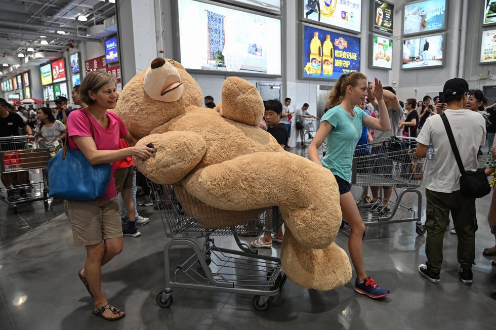 costco teddy bear
\