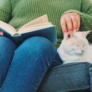Cropped shot of an unrecognizable senior woman stroking her cat as she reads a book while sitting on the sofa in her apartment reading for me is a way to expand my mind, open my eyes and fill up my heart