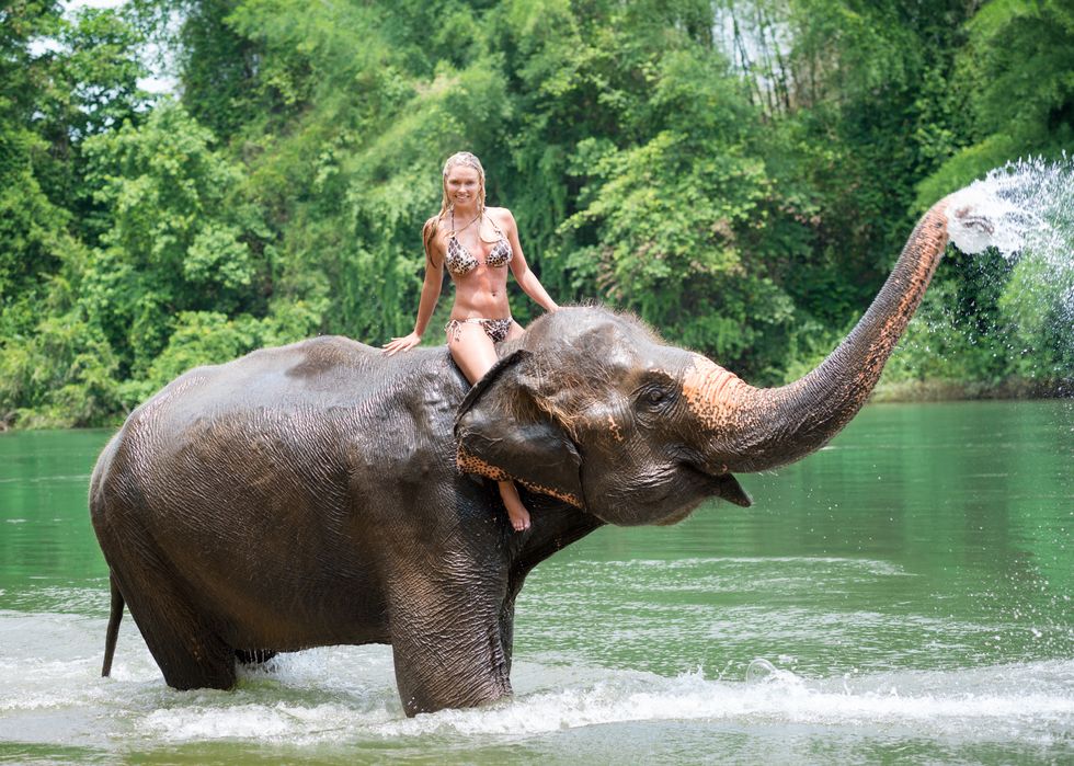 Woman riding on an Elephant, Tropical Rain Forest