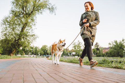 woman run with her akita inu in the public park along a lake early in the morning