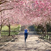 woman running under blossoming trees, how to start running again