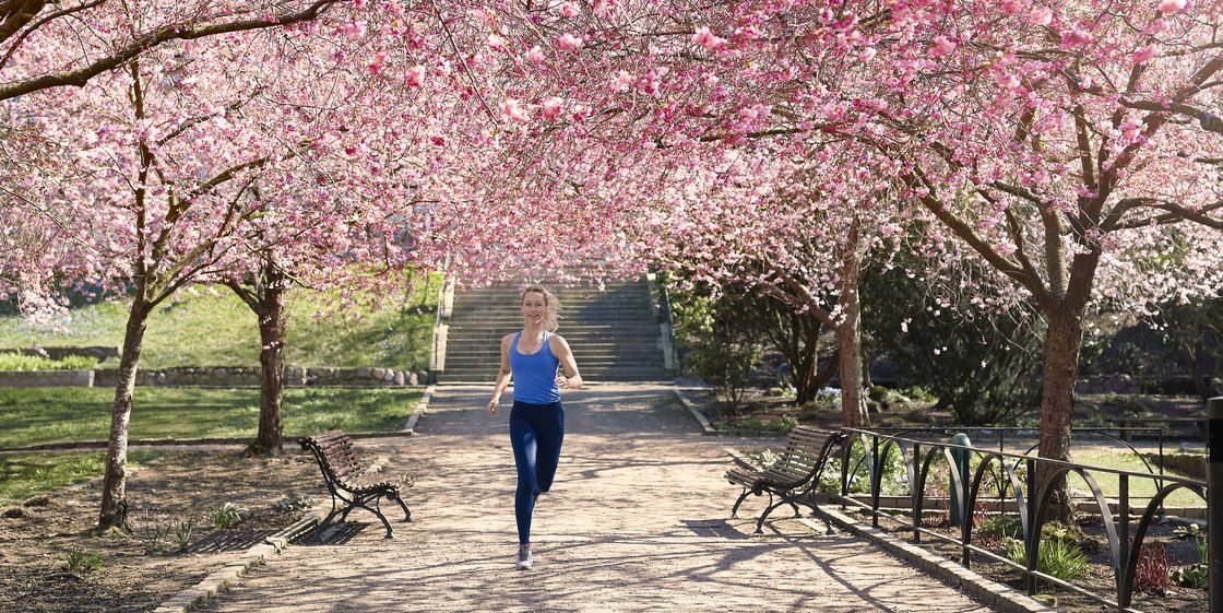 woman running under blossoming trees, how to start running again