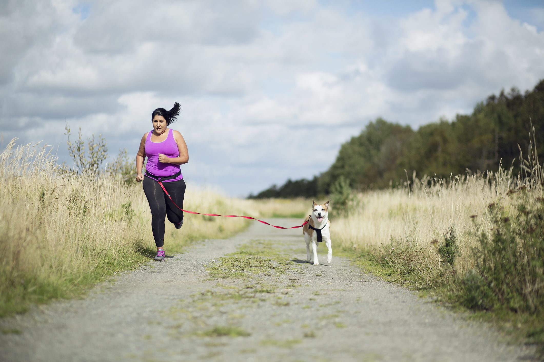 The 8 Best Hands-Free Dog Leashes For Runs and Romps