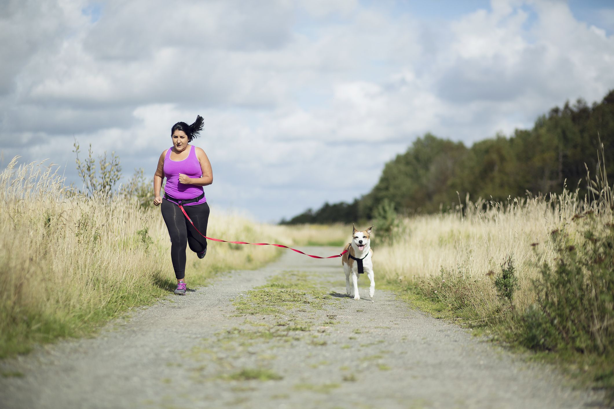 Dog on sale running leash