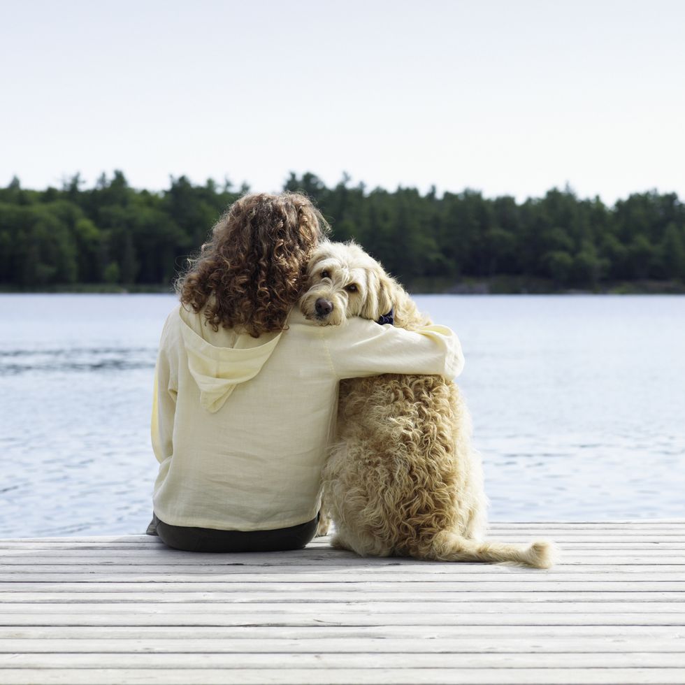 woman sitting with dog on jetty, rear view