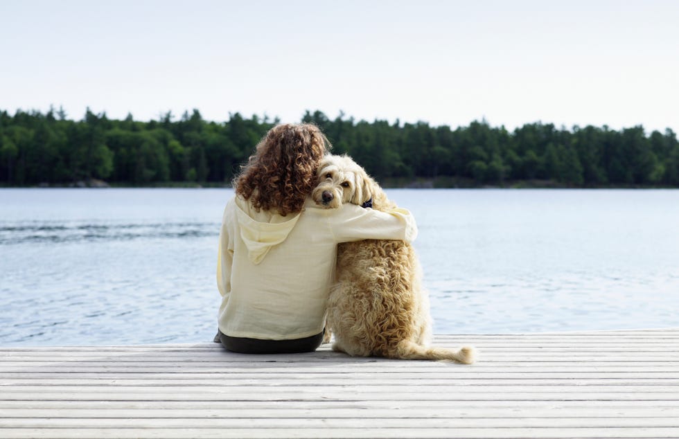 woman sitting with dog on jetty, rear view