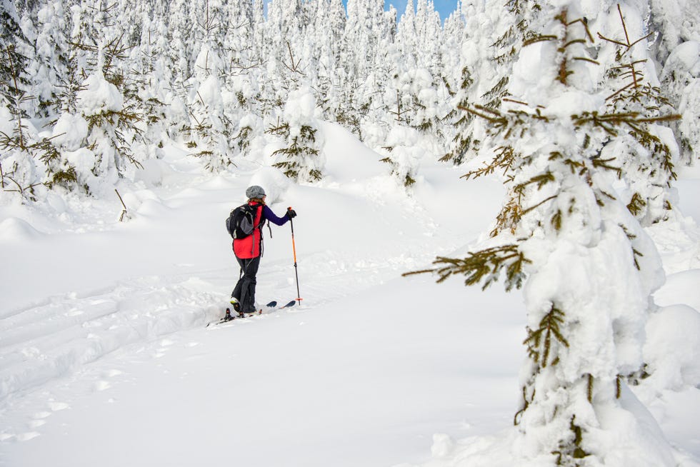 Skiing Up That Hill: How I Discovered the Power of Resilience in the Snow