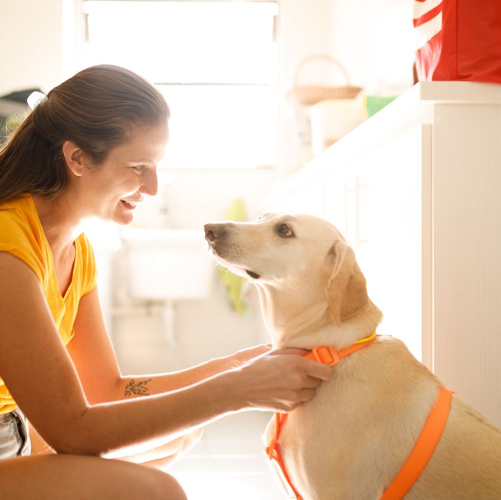 woman smiling and adjusting her dog's harness