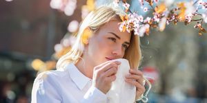 hay fever symptoms - spring allergies