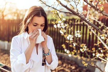 woman sneezing in the blossoming garden