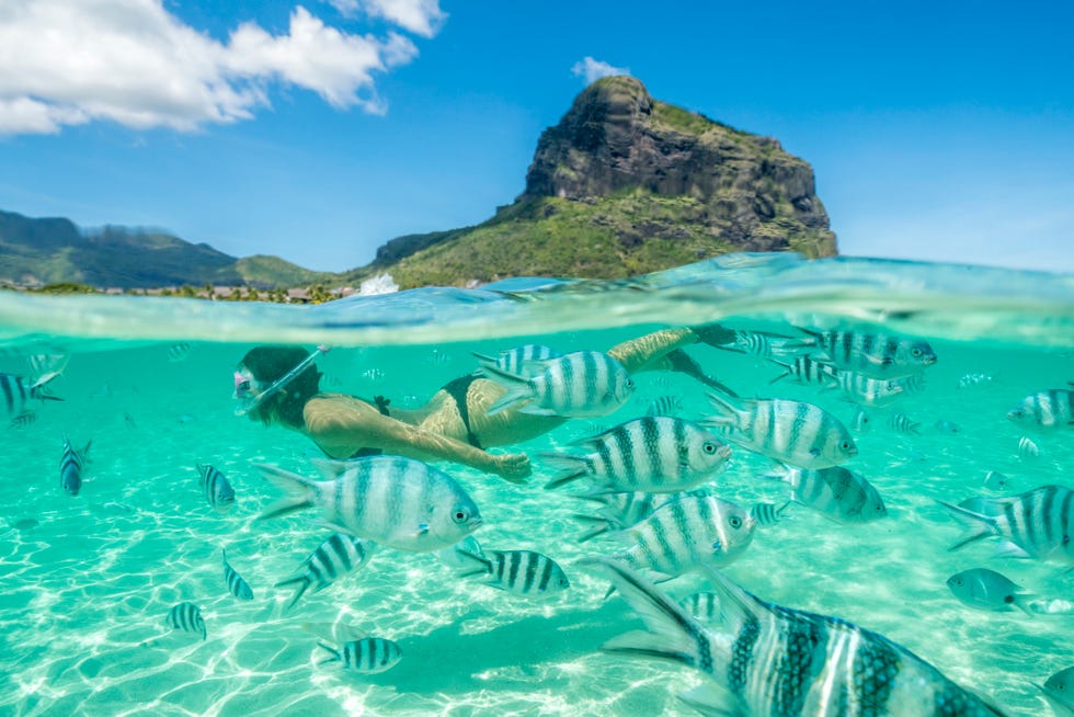 woman snorkeling with tropical fish, indian ocean, mauritius