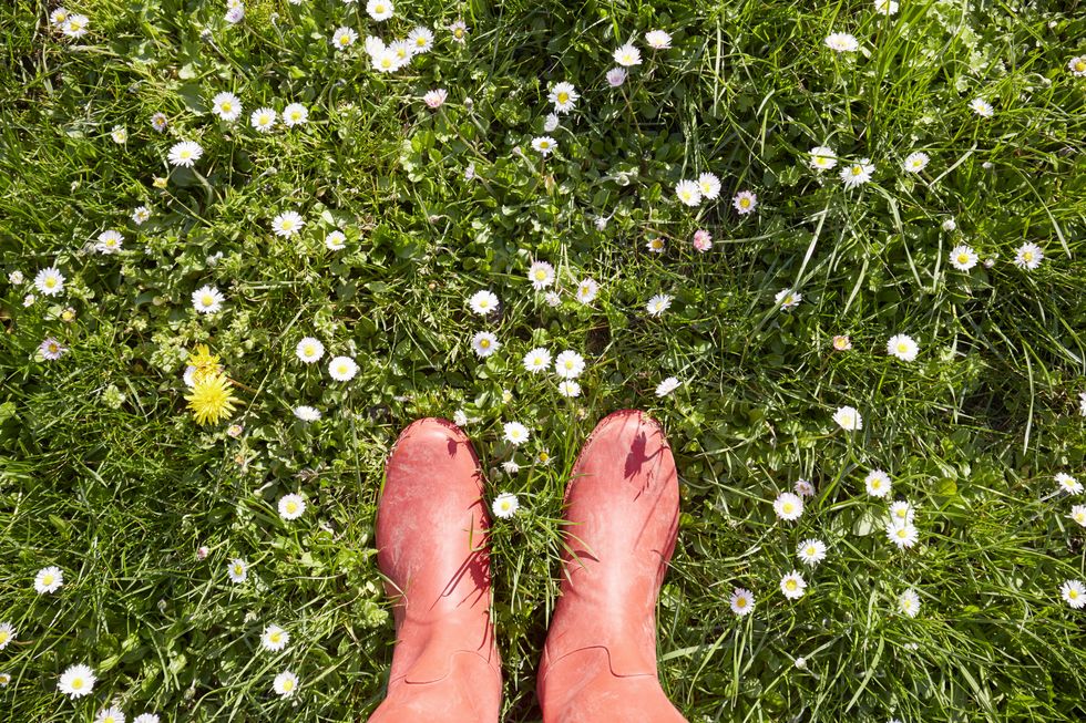 Woman standing in red rubber boots in a meadow with daisy flowers