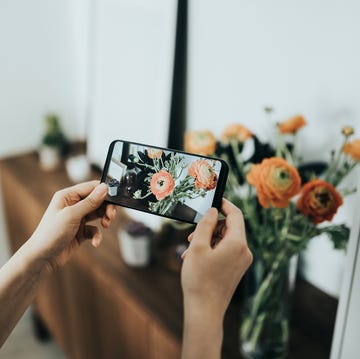 woman taking photos of flowers with mobile phone