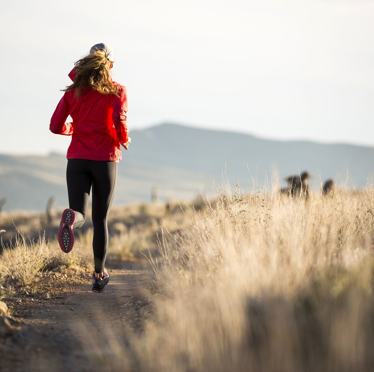long training unite a woman trail running