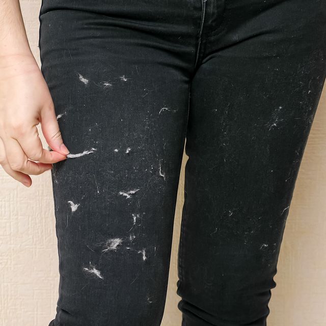 woman tries to clean black pants covered with animal hair