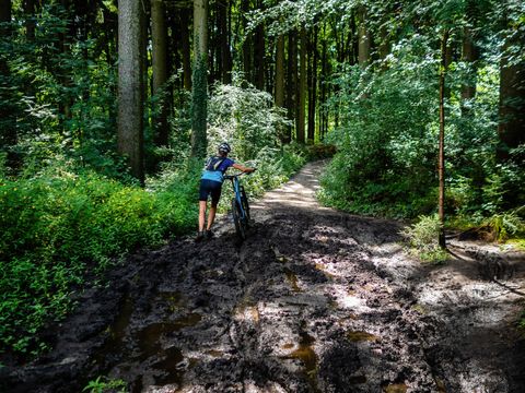 a woman tries to get through a muddy path with her bike