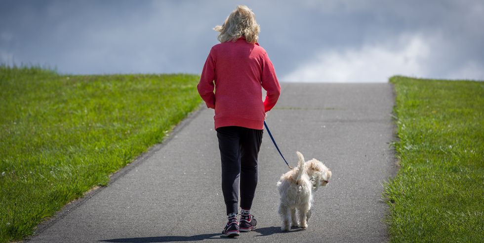 woman walking a small brown dog up a hill on a path in a park on a sunny spring day