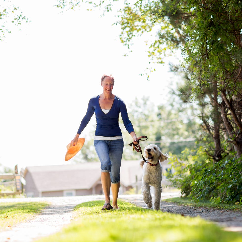 dog commands - Woman Walking her Dog
