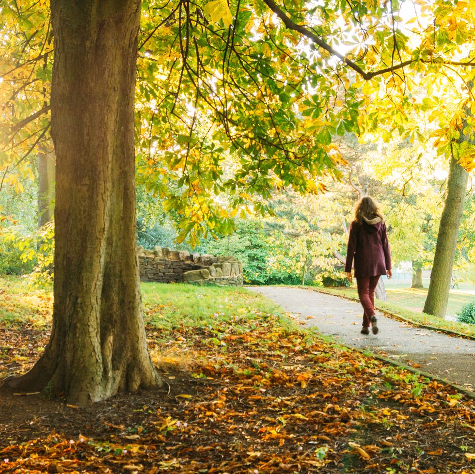 Woman Walking In Park During Autumn