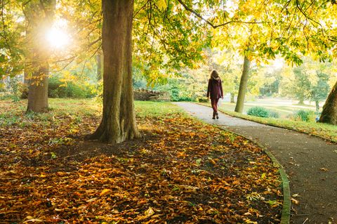 Woman Walking In Park During Autumn